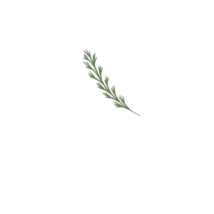 Logo Leipzig Insider weiß